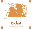 Logo du site www.bichat.be